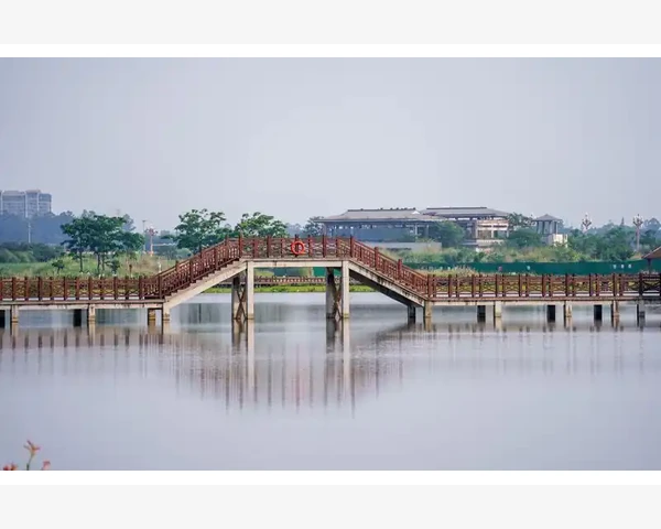 大蒜煮水：中医经典方剂化痰祛湿
